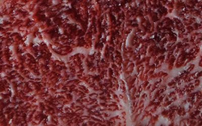 marble_wagyu